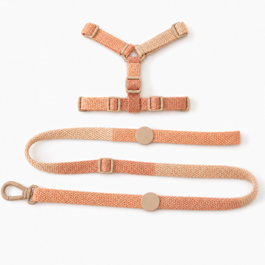 Adjustable Cat Harness and Lead Set with Secure Buckles – Peach
