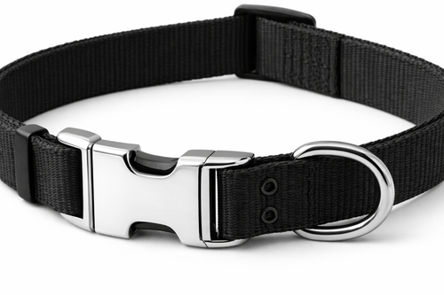 Adjustable Dog Collar – Nylon Collar with Metal Buckle & D-Ring