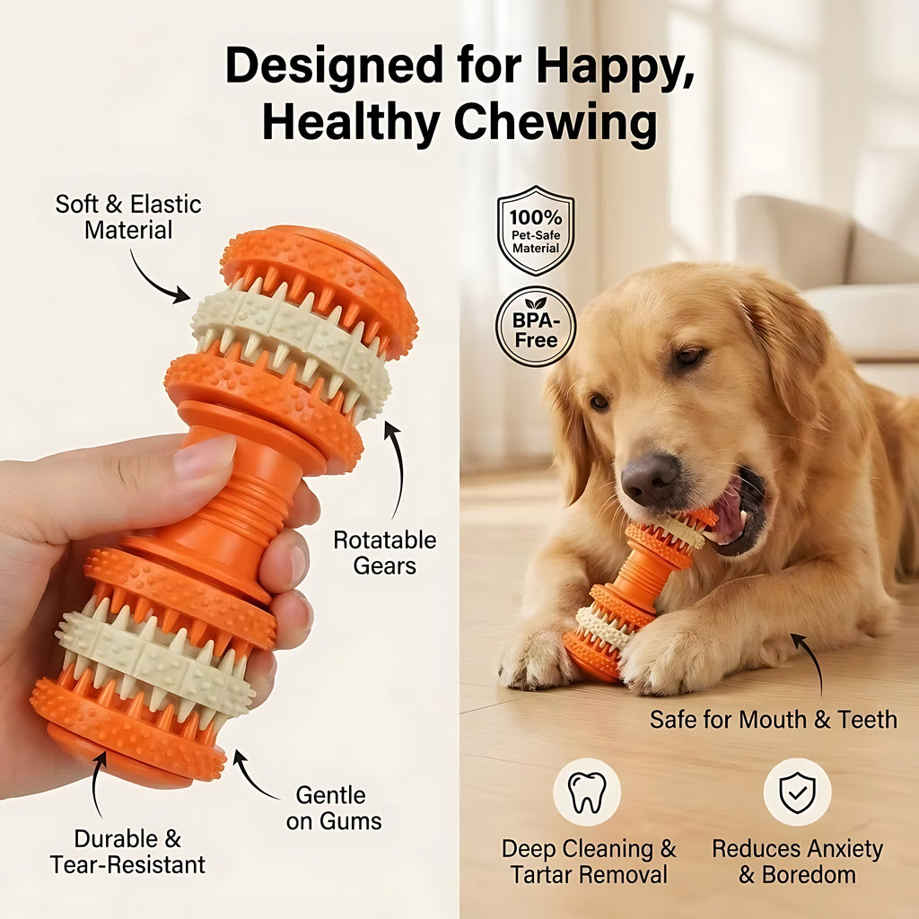 Tough Dog Chew Toy with Treat Dispenser – Enrichment Toy for Dogs