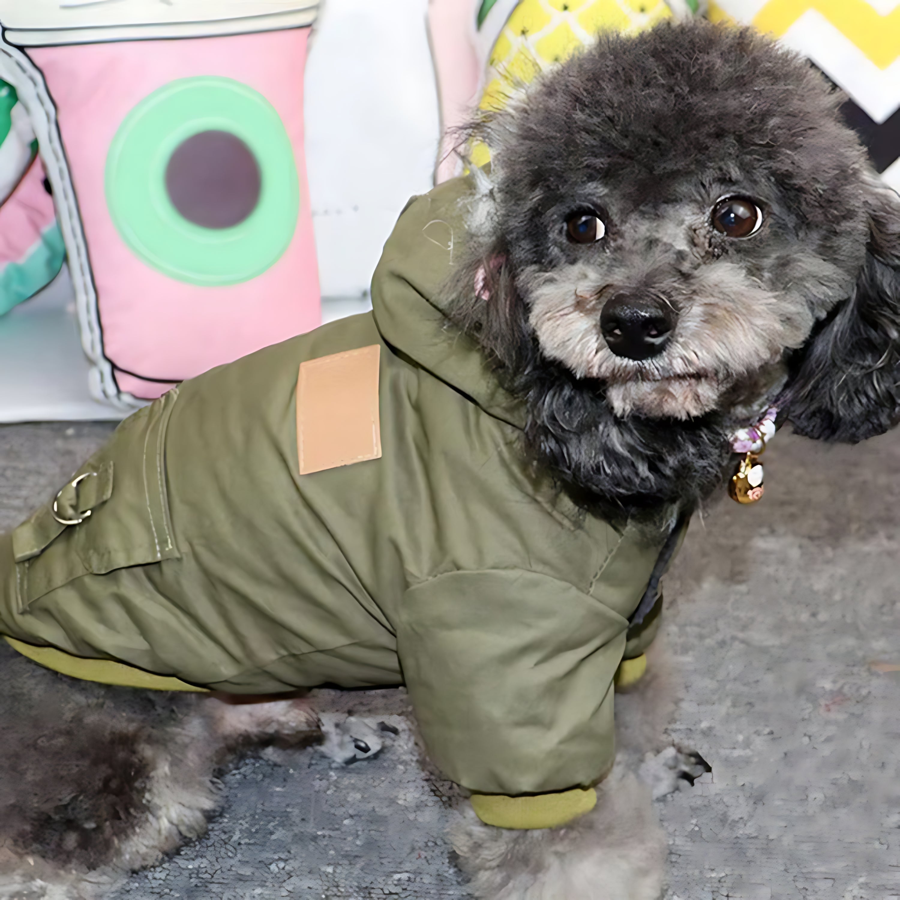 Winter Dog Hoodie Coat – Soft Warm Jacket for Small & Medium Dogs